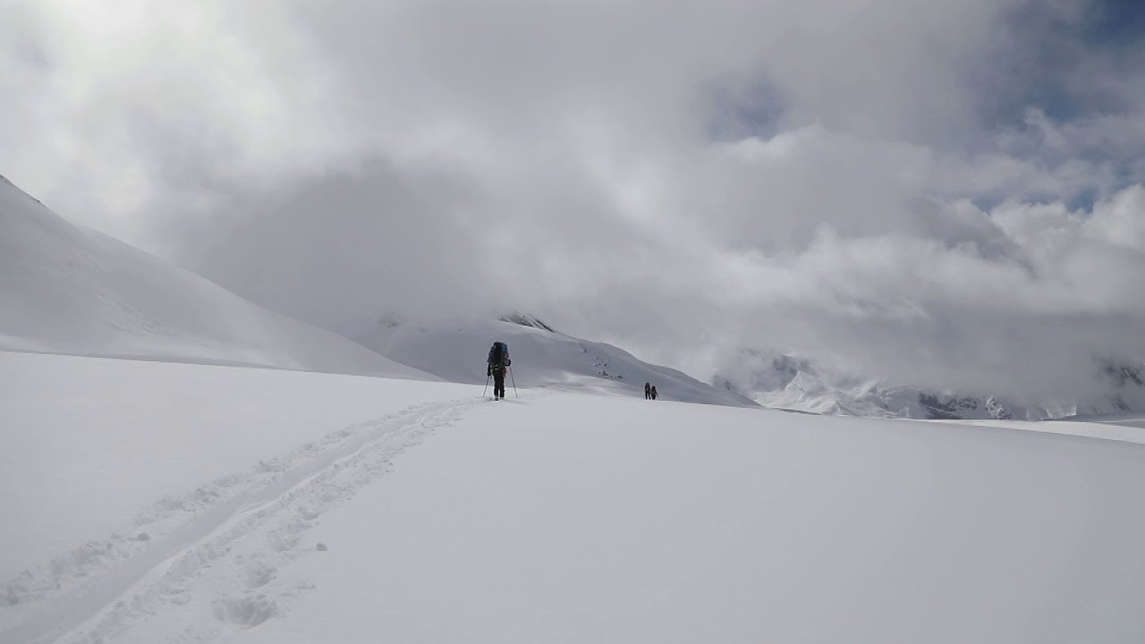 Defining The Wild